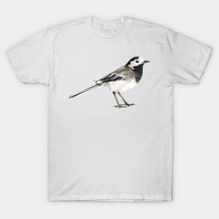 Pied wagtail T-Shirt